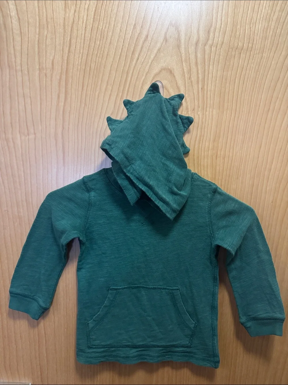 EUC Green Carter’s size 3T hoodie with a dinosaur spiked hood.